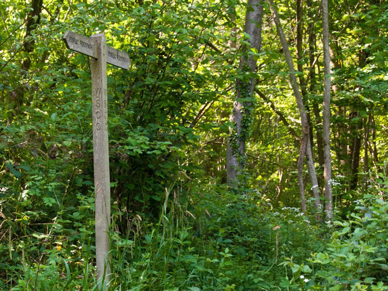 scrabble_dictionary_vs_traditional_english_dictionary