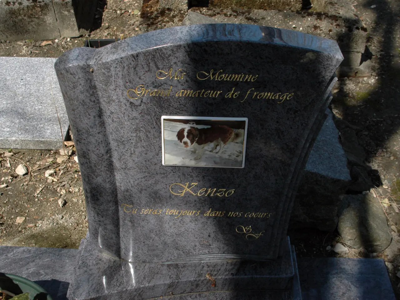 Aadhaar authority accesses 1.55 million deceased individuals' death records to deactivate their...