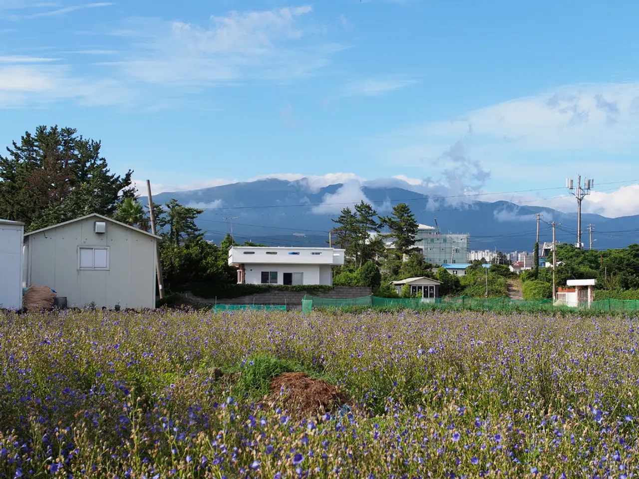 Town administration of energy supplies