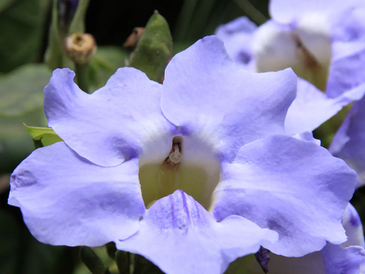 Daily Rituals: Enhancing Productivity and Wellness