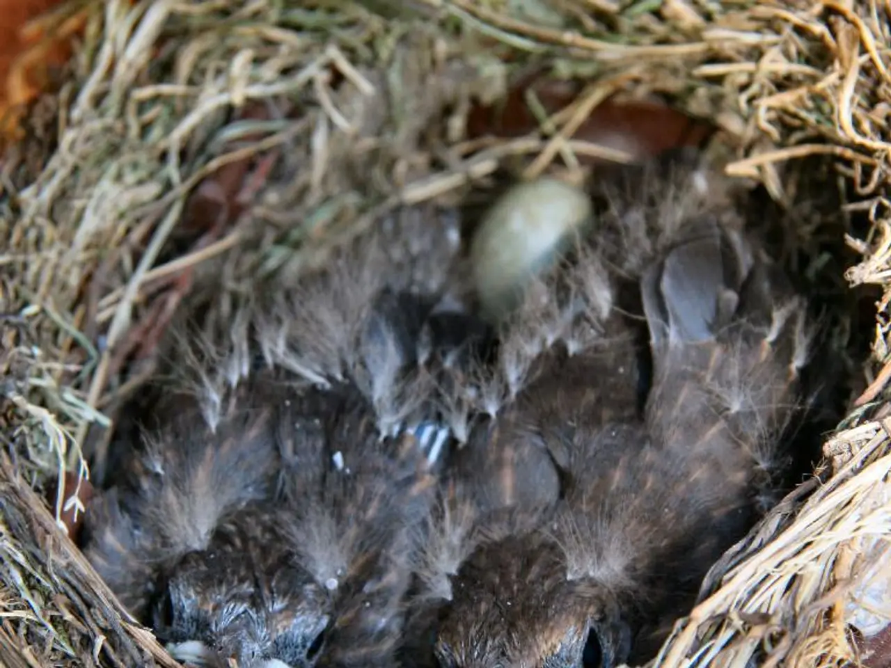 Duration of Unattended Bird Eggs: An Extensive Overview