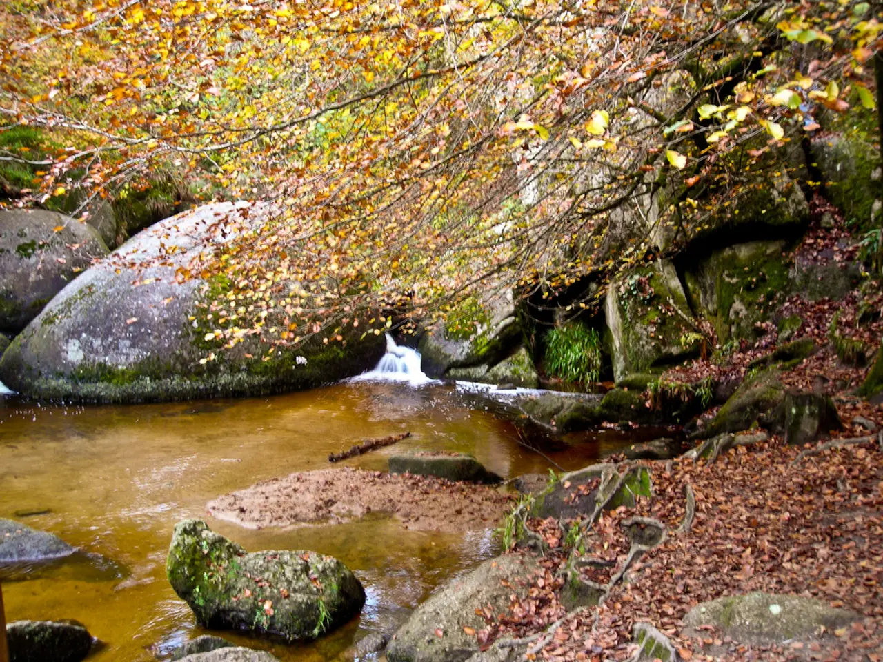 Historical Event this July 29: Exploring Settlement Development in Boone, Kenton, and Campbell...