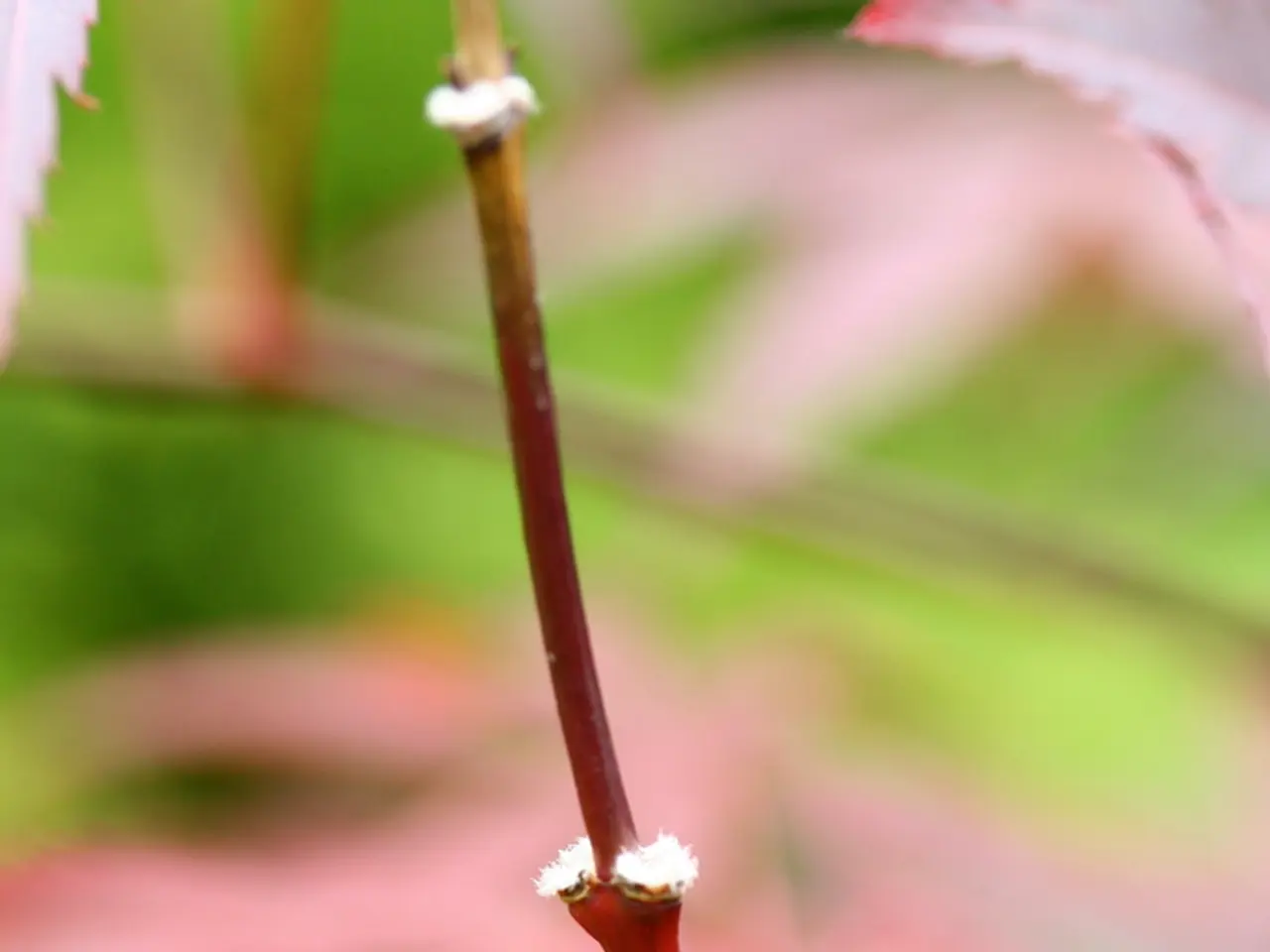 College Studies Reveal Links Between Majors, Poverty Levels, and Gender Wage Disparities