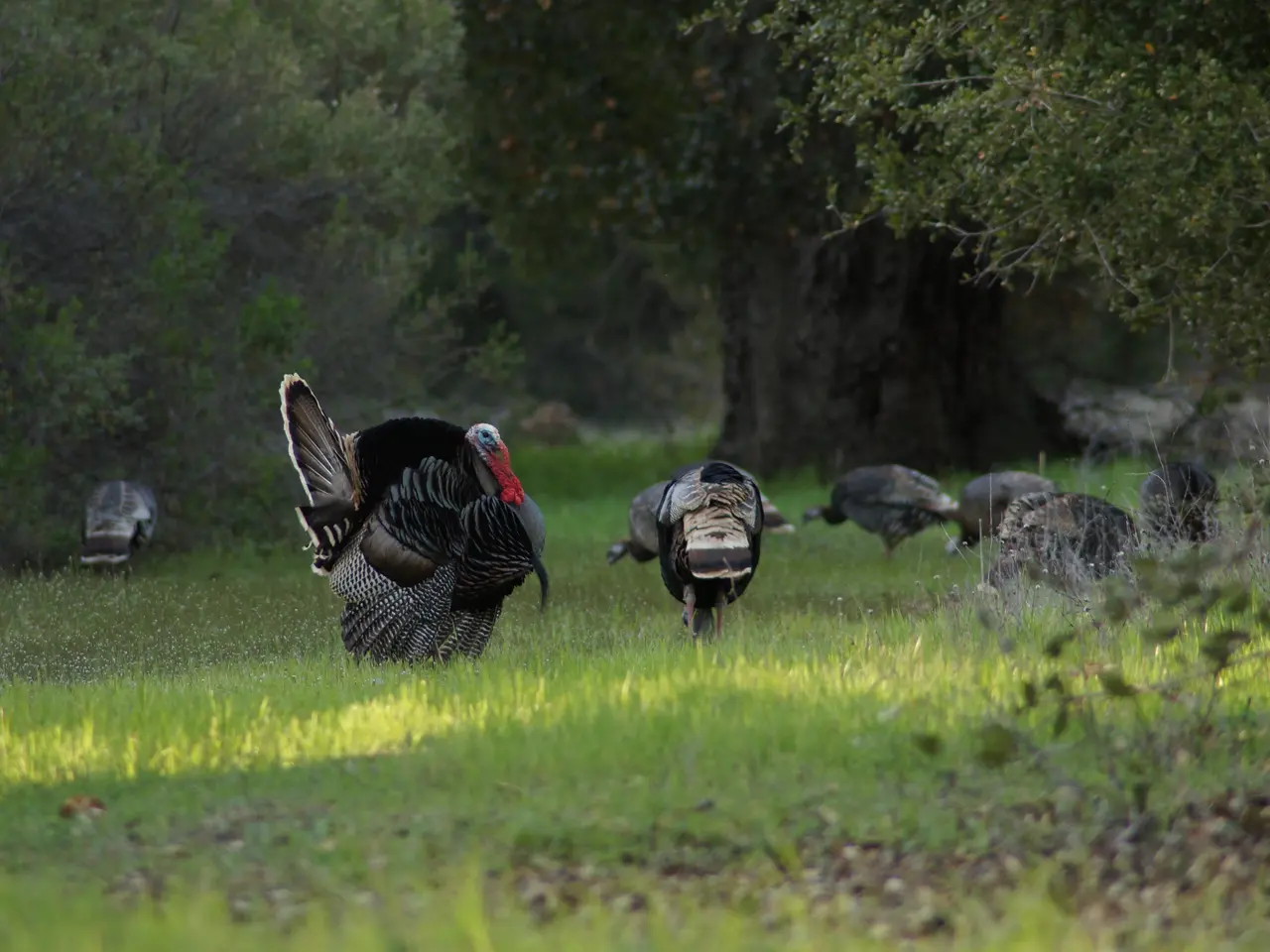 Funds worth $16 billion earmarked for research and development by the Industry Minister announced.