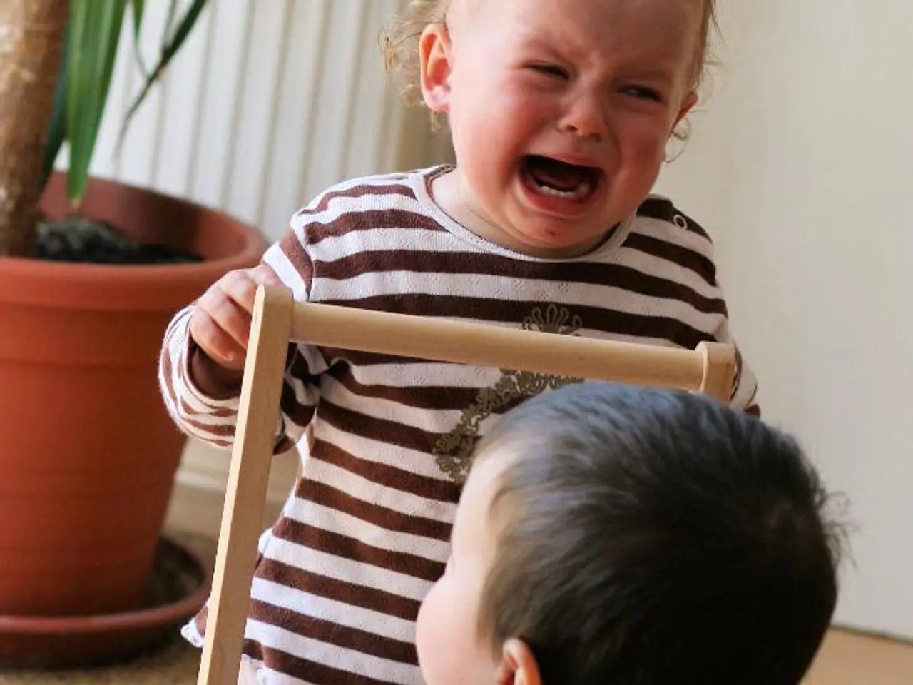 Seeking Families: Inquiry Announced