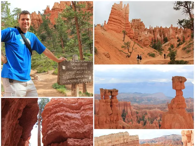 Bremen's new head of conservation is revealed as Skalecki's successor.