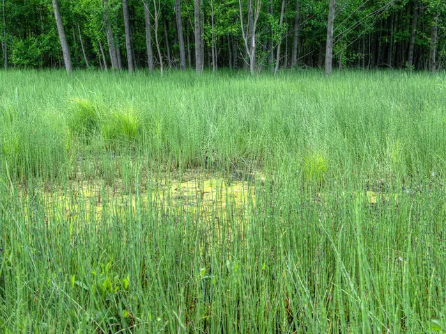 Generous farming conglomerate extends benefits - towards offspring of employees