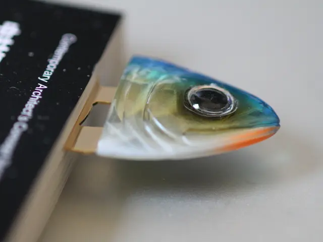 Artifacts such as Stone-delphin, ship's nails, and ancient anchors found.