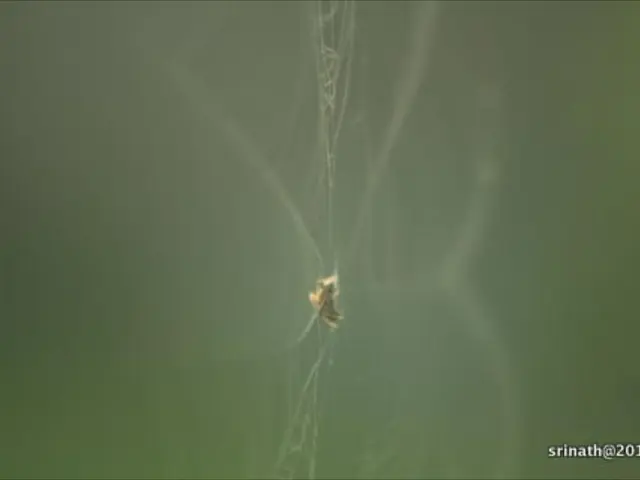 EPA unveils webinar series for grant application process explanation