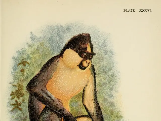 Weekly Image Highlight: The landmark Scopes Monkey Trial of 1925, a pivotal court battle addressing...