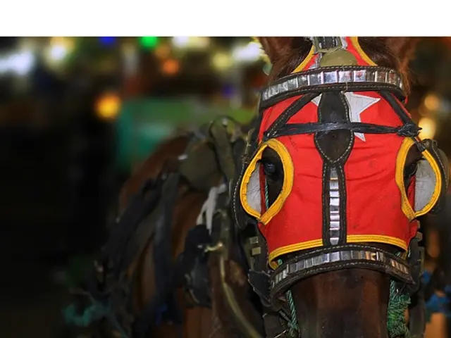 Strategies for Acquiring the Proficiency and Esteem Needed for a Prosperous Career in Real Estate