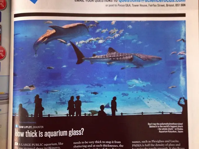 Aquarius Woman: A Look at Her Creative Logic and Unique Mental Processes