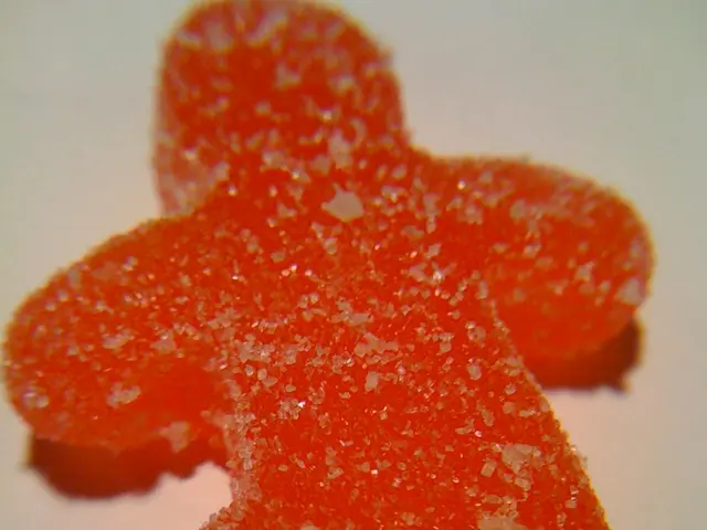 Detecting Sugar Cube's Absorption Capabilities: A Practical Investigation