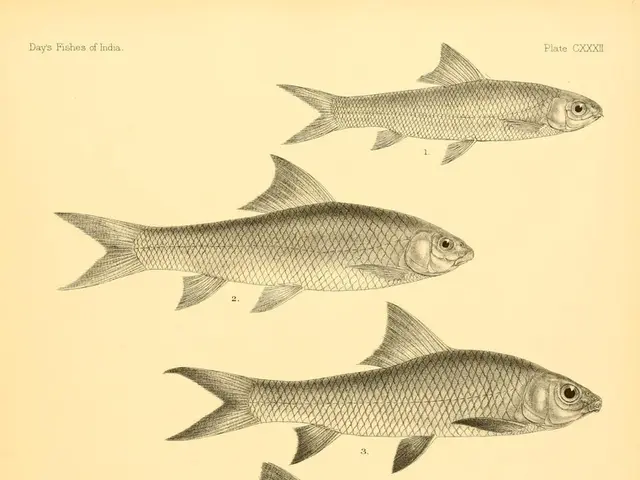 Notification: Remarkable Neuroscientist: Theodore Bullock Passes Away