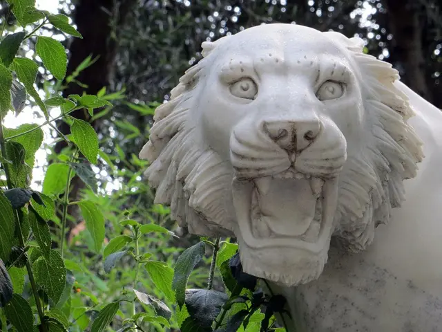 Interpretations and Implications of Nighttime Visuals