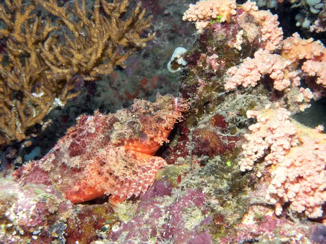 Preserving Variety in Nature: Collaborative Studies Hold the Solution