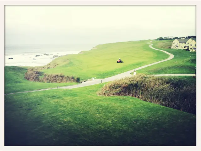 Village inhabitants of Kamychlovsk district participated in the initiative titled "Village...