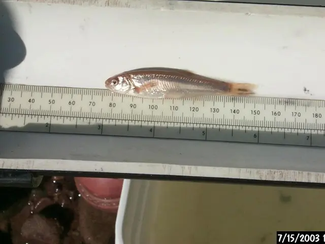 Alterations made to class schedules at the start of the academic year