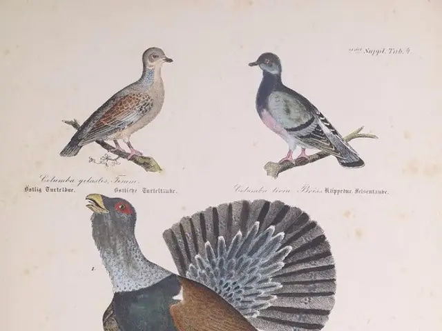 Investigating Sources for Information