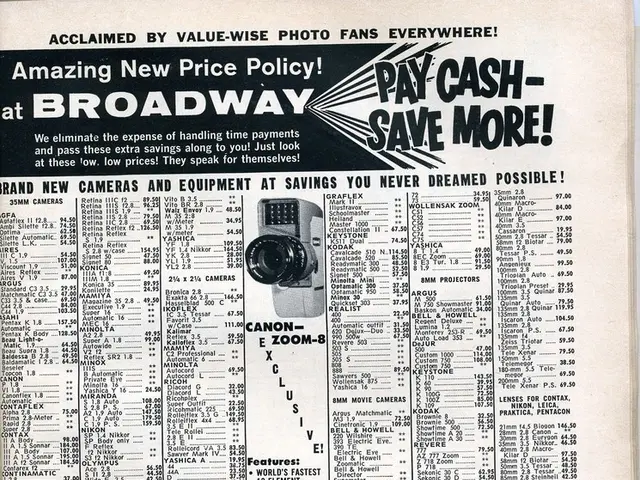 Modifying Worldwide Initiatives for Specific Central and Eastern European (CEE) Marketplaces