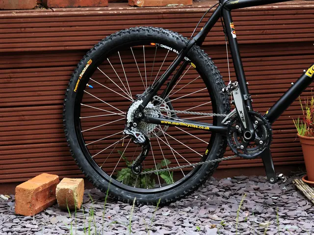 Natural Designs and Designs Found in the World