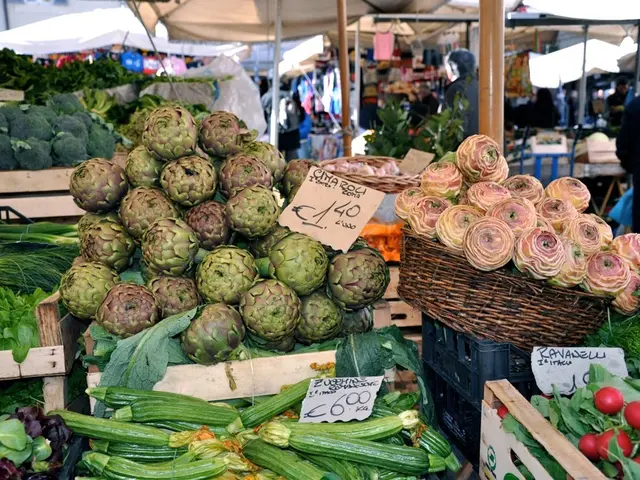 Opportunities for Volunteering in the Seattle Area for Teens, Pre-Teens, and Families