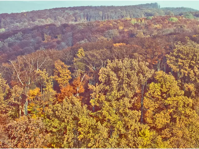 Nurturing the Natural World: Unraveling the Scientific Secrets to a Sustainable Earth