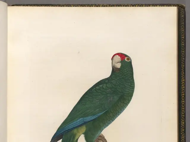 Boosting Productivity through the WOOP Method: A Successful Approach for Kick-Starting Tasks