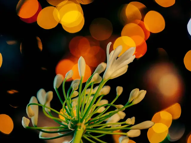 Guide for Conducting Your Self-Directed IB Biology Investigation: A Practical Example to Follow