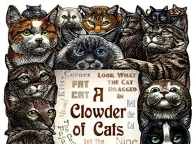 SCERT Assam DElEd PET Results 2025 Released; Download Score Cards in PDF Format from scertpet.co.in