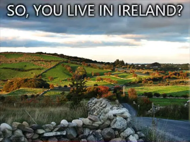 Global wildfire danger being addressed through collaboration between Willis and the United Arab...