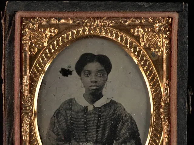 Tamil Nadu 12th Supplementary Results 2025 Announcement: Download HSE +2 Supplementary Results...