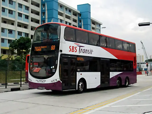 Eswatini's Paratus Launches Business and Community Services Utilizing Starlink Technology