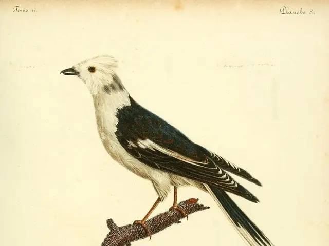 Transforming Your Life through Inspirational Spiritual Healing Statements