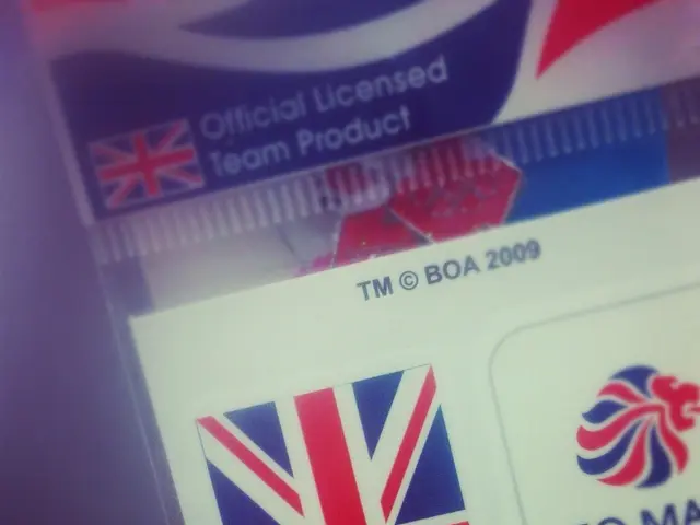 Digital Identity Framework Proposal by UK's CFIT to Combat Business Fraud Unveiled