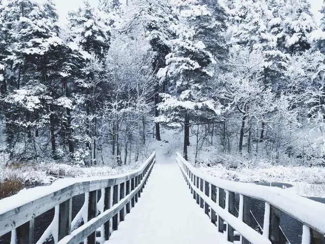 Highlighting Student Profiles: Tashiana Osborne at Scripps