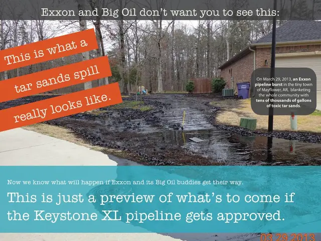 Youngsters construct a tribute utilizing plastic debris