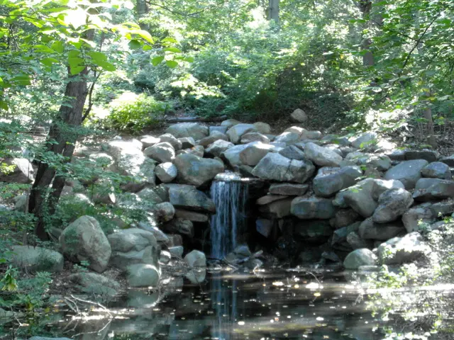 Interpretation of a Nocturnal Vision