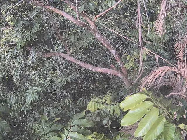 Server Temporary Error: Unable to Connect to Backend Server