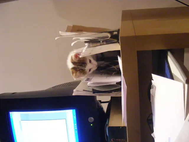 Degree Program: Dual Bachelor's Degree in Banking and Sales, Scheduled for 2026