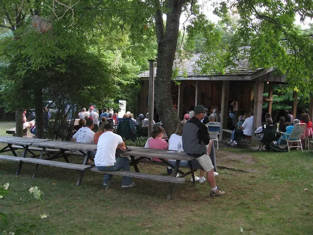 Simplifying Strategies for Decluttering and Living with Essentials