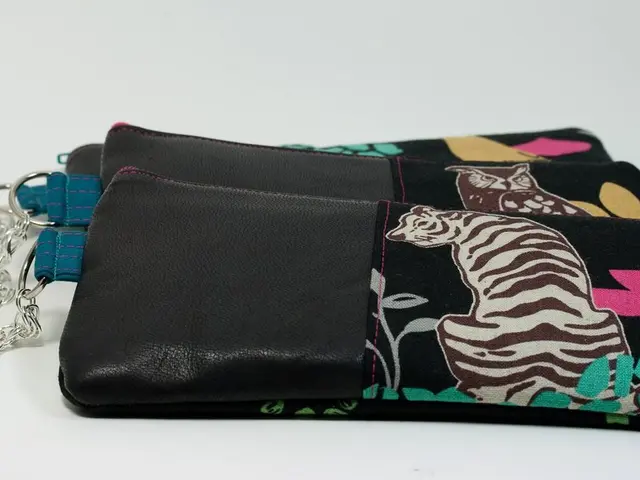 Universality of Admissions and Scholarships for Universities in UAE to be finalized by August 11th