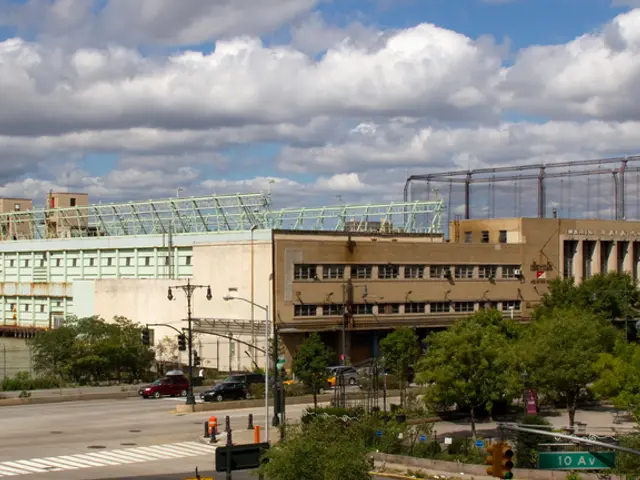 Information Architecture Explained: The Organizational Strategy for Information System Design