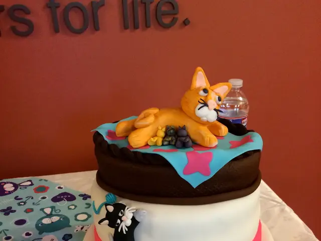 Interpreting the Significance of Nighttime Visions