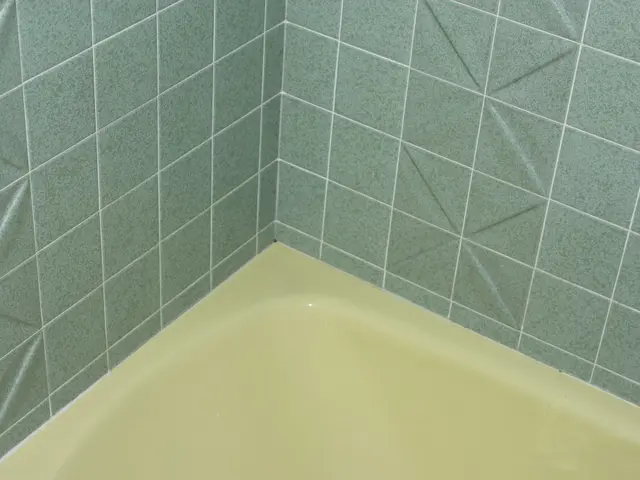 Different Types of Tiles for Your Bathroom Renovation: Your Comprehensive Guide