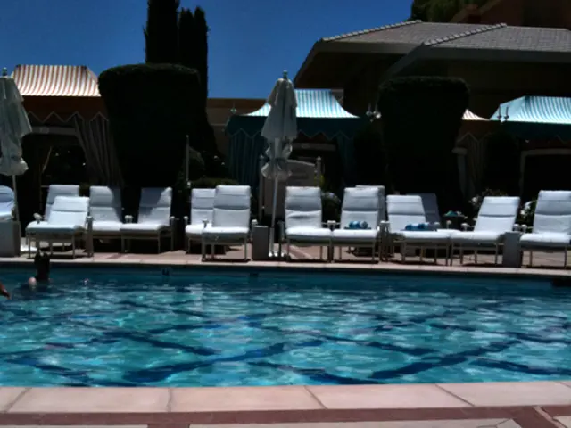 Dubai Emerges as a Prime Destination for Female Entrepreneurs