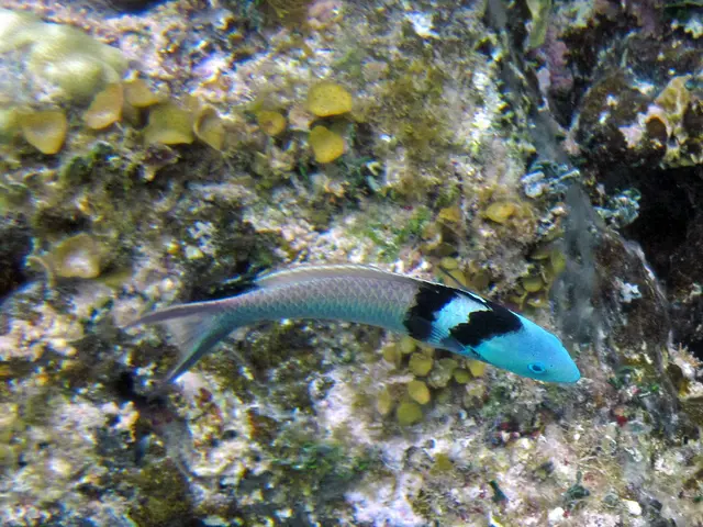 Unleashing Realms of Potential