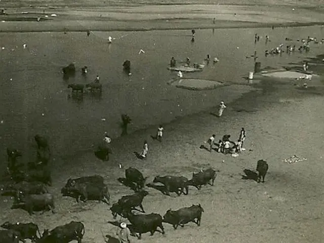 Could the investigation techniques used by CSI teams effectively curb the $23 billion black market...