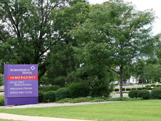 Local Study on Trenton, NJ: Examining Lead Levels in the Community