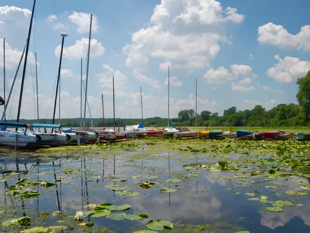 Seizing the Day: Unanticipated Strength of Daily Mental Clarity Practice